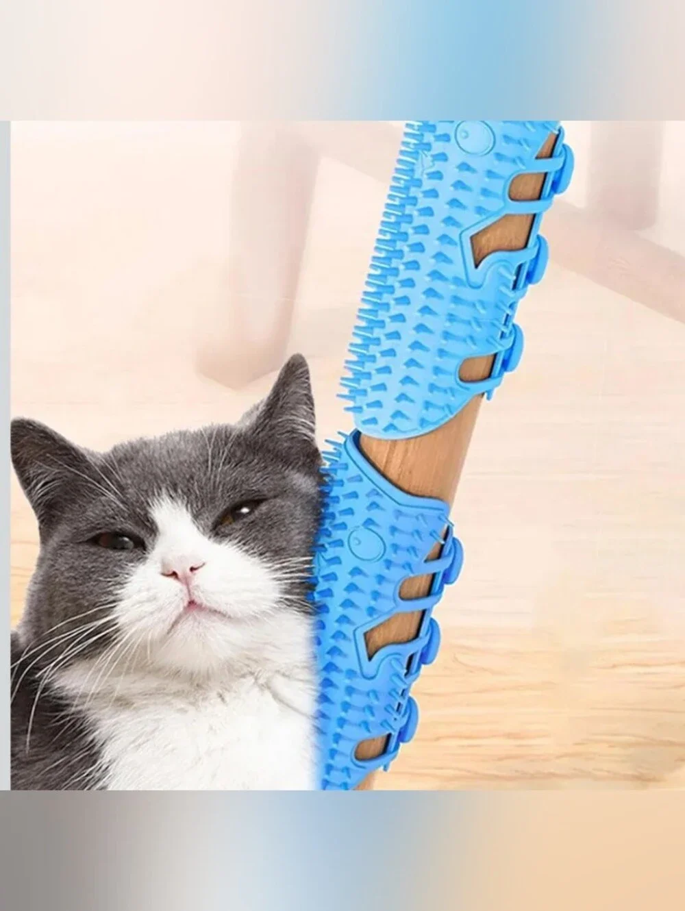 Purple Silicone Cat 😺 Toy Grooming Shedding Brush Scratch